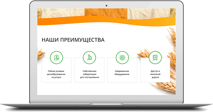 http://web4site-msk.ru/wp-content/uploads/2018/06/project-desktop-img-5-737x389.png