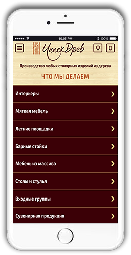 http://web4site-msk.ru/wp-content/uploads/2018/06/roject-mobile-img-259x501.png